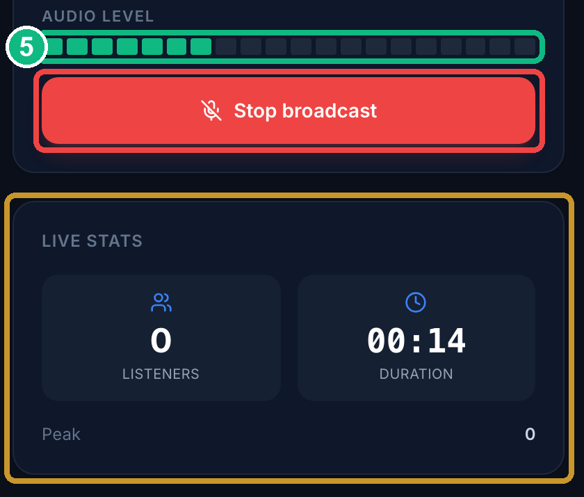 The live screen: green audio level, red stop button, live stats